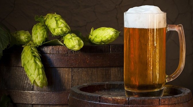 Lúpulo: o que é e qual é a sua função na cerveja artesanal ...
