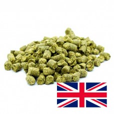 Lúpulo Admiral -  10g