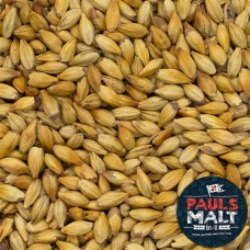 Malte Crystal Dark - Pauls Malt - 100g