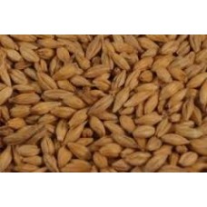 MALTE WEYERMANN® CARAPILS® 100G