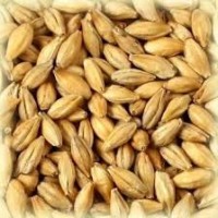 MALTE WEYERMANN® MELANOIDINA® 100G