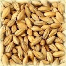 MALTE WEYERMANN® MELANOIDINA® 100G