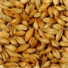 Malte Château Cara Blond 100g