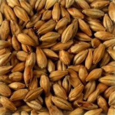 MALTE WEYERMANN® CARAMUNICH® TIPO I 100G