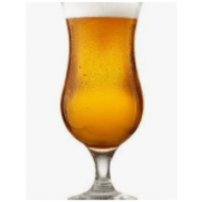 Belgian Tripel Horse - 10L