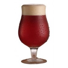 Bock Tradicional - 20L